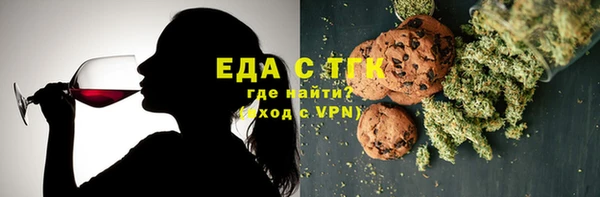 гашик Алексин