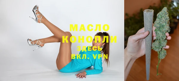 гидра Абаза