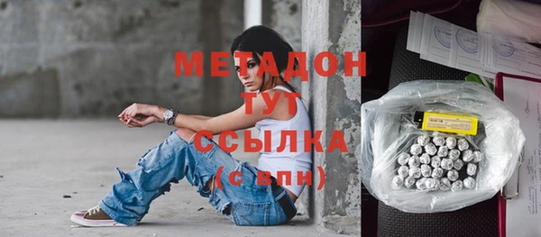 гашик Алексин