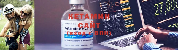 гидра Абаза