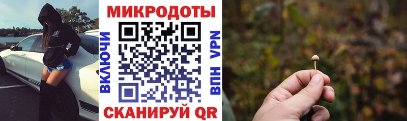 где купить наркоту  Поворино  Галлюциногенные грибы Psilocybine cubensis 